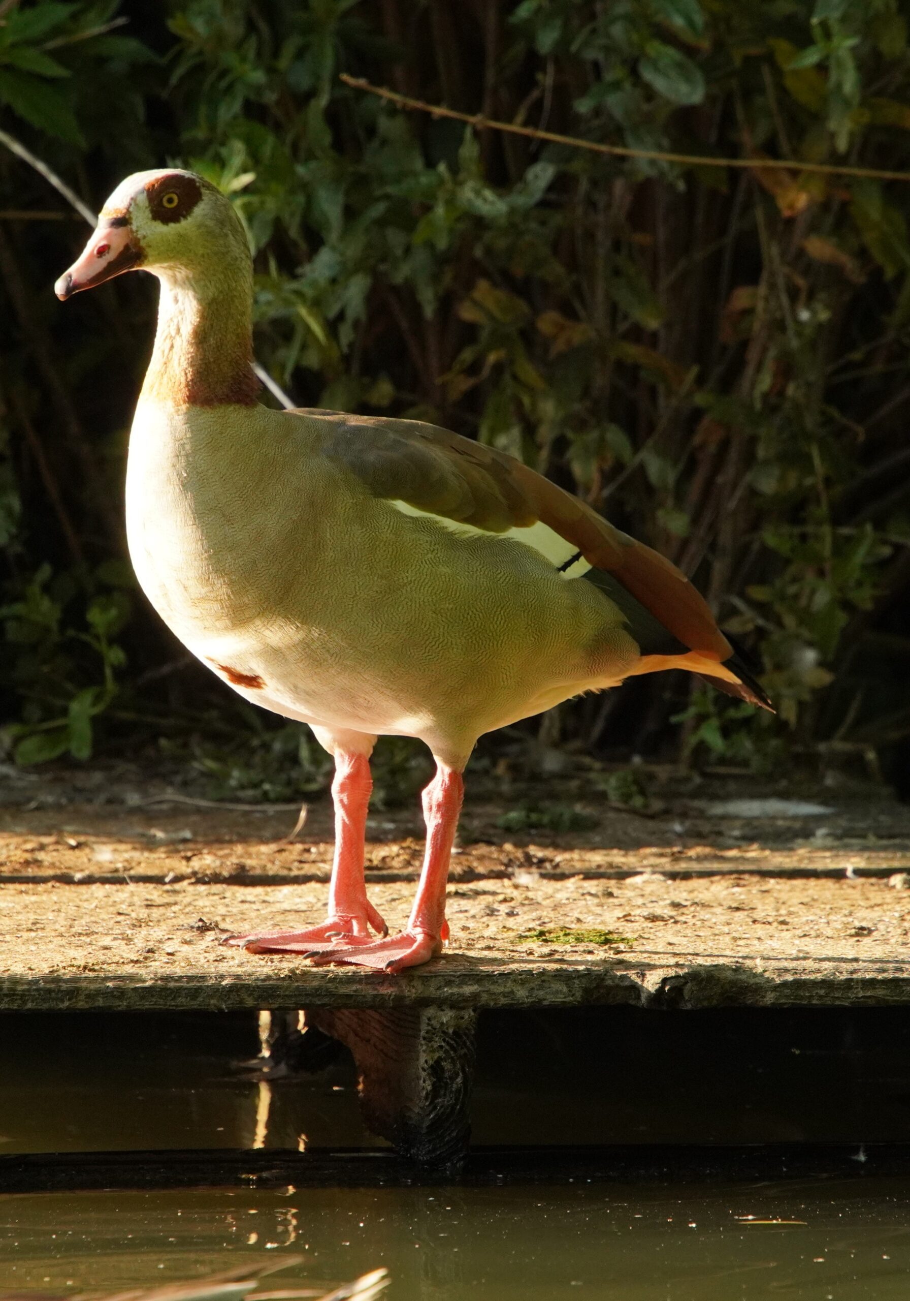 DSC05631 DSC05631